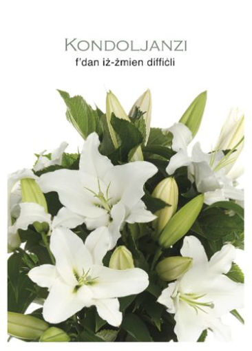 Picture of KONDOLJANZI FDAN IZ-ZMIEN DIFFICLI KARTOLINA